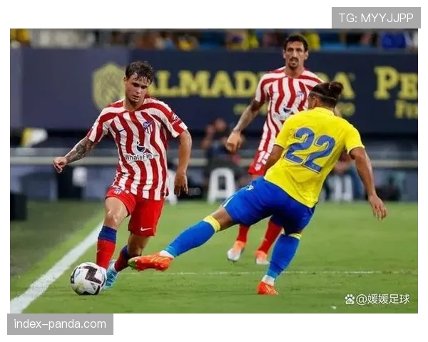 保级六分战:阿尔梅里亚主场迎战加的斯,输球一方将深陷降级区